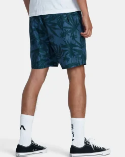 BRODIE HYBRID 17